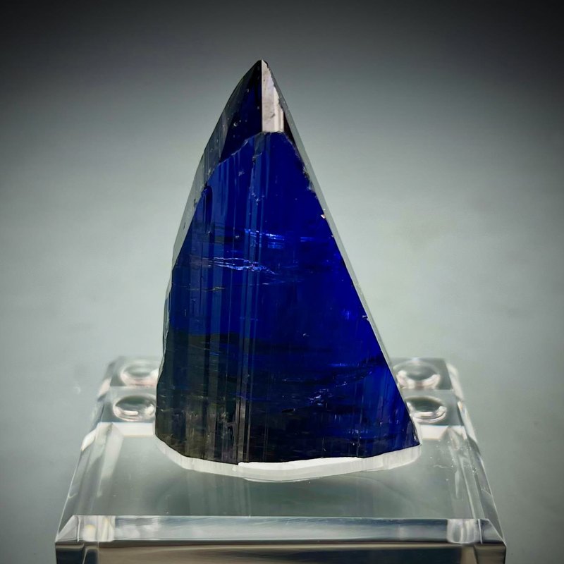 Electric blue perfection