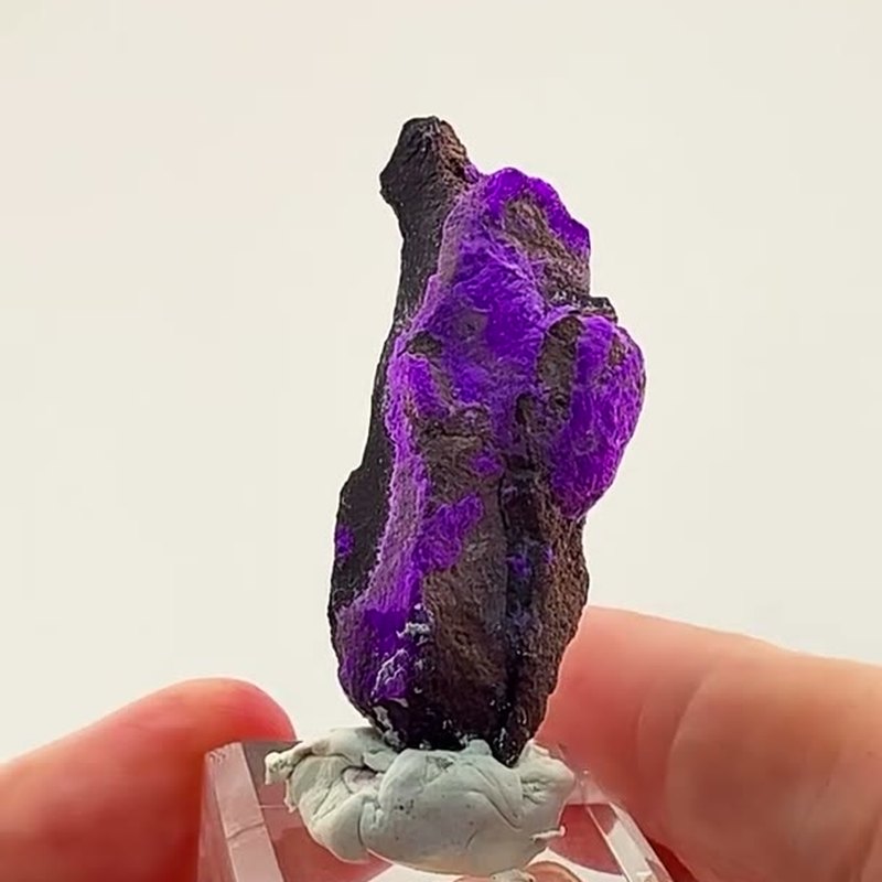 PURPLE ELECTRICITY FROM THE KALAHARI
