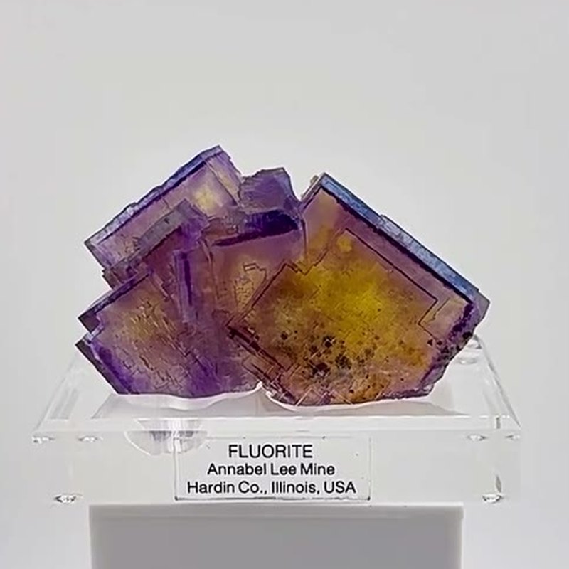 Purple. Gold. Blue. Glass