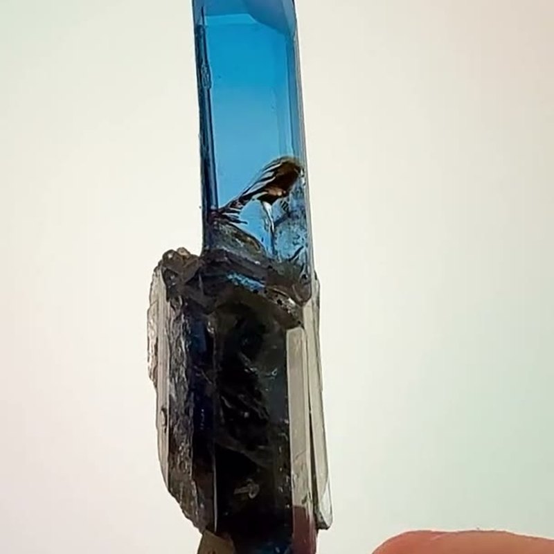 Tanzanite Royalty