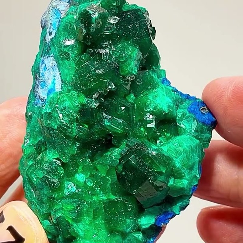 Emerald green meets electric blue