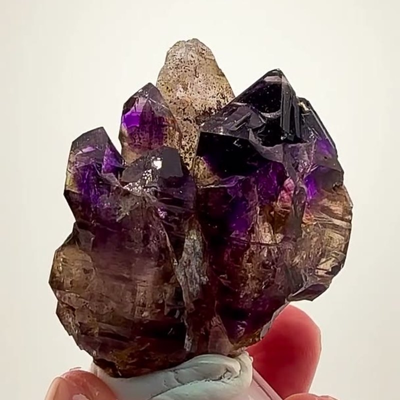 BRANDBERG BLURPLE PERFECTION
