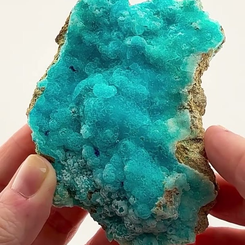 Electric blue perfection from the Congo