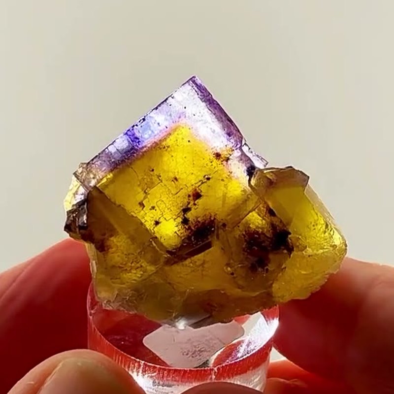 Illinois fluorite royalty with collector pedigree