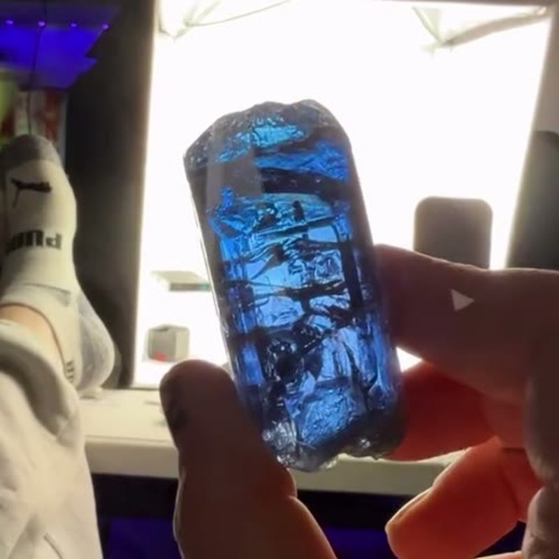 73.41 GRAMS OF PURE PLEO INSANITY