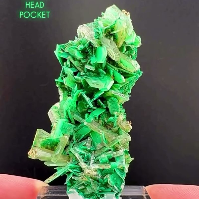 SOLD Just in... “Arrow Head Pocket” This little beauty's combination and…