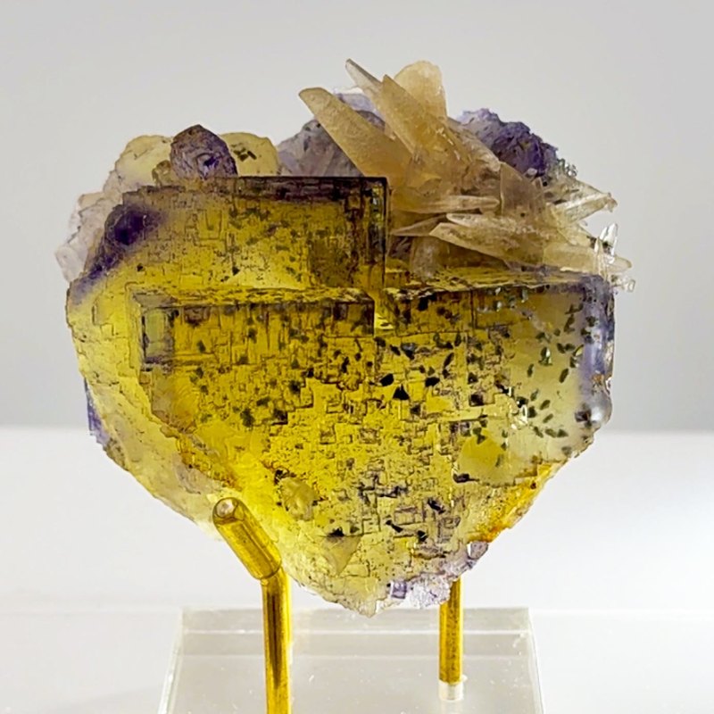 Illinois gold meets violet geometry