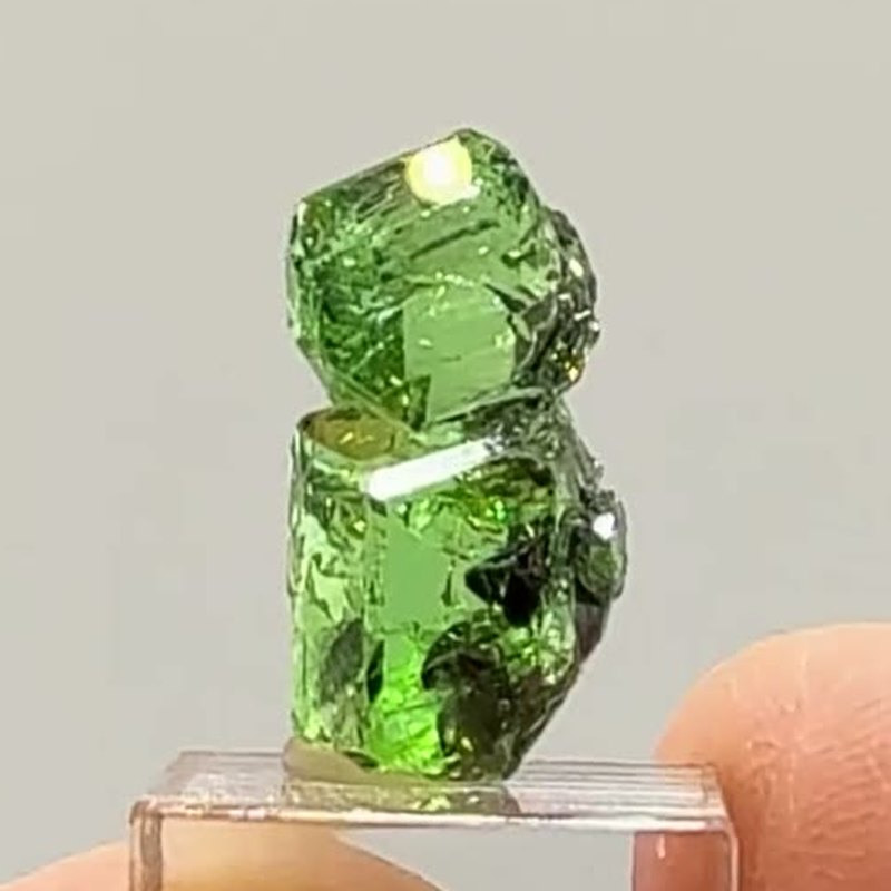 Electric green perfection in miniature
