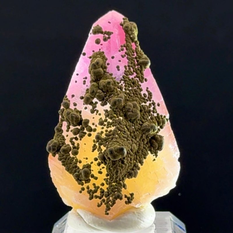 CANDY COATED CONGO