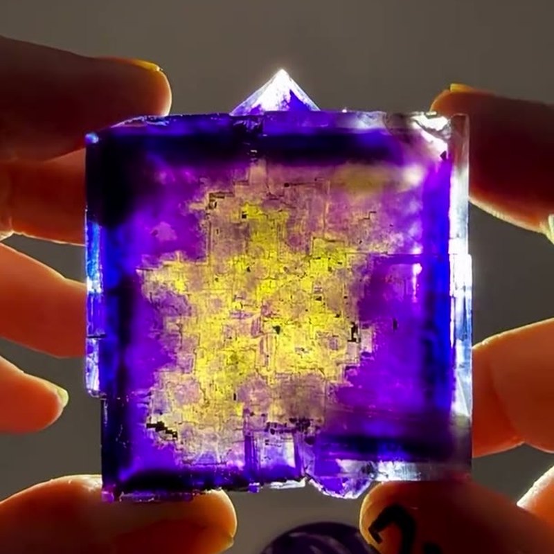 BACKLIT MINERVA MAGIC