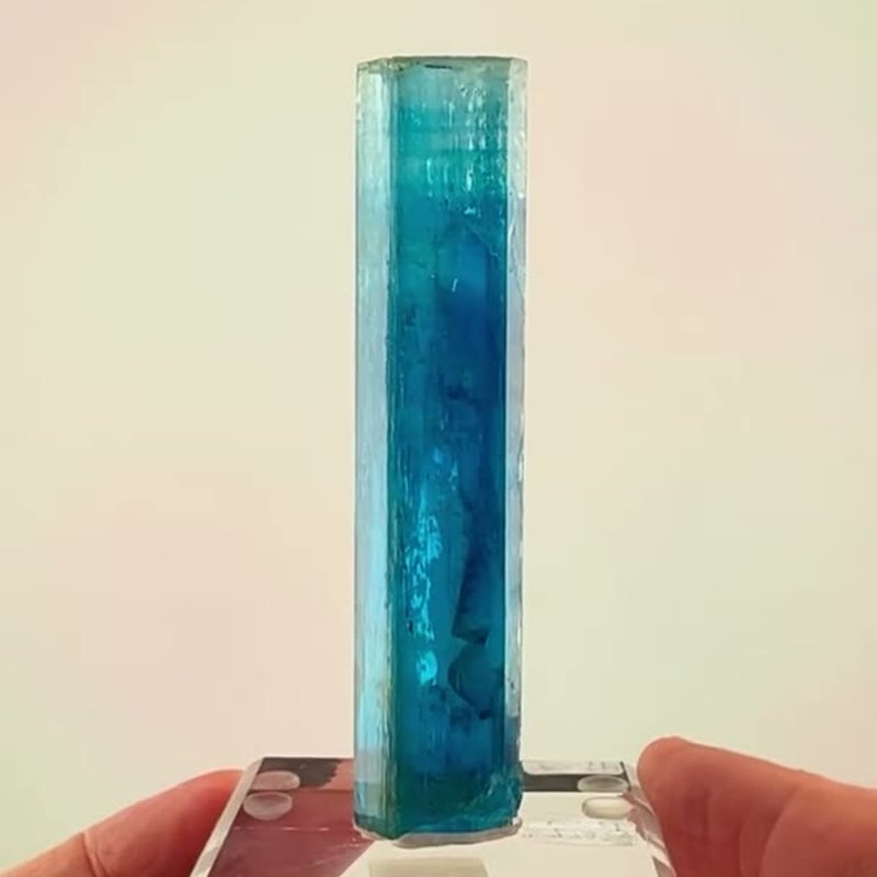 Vietnamese electric blue perfection
